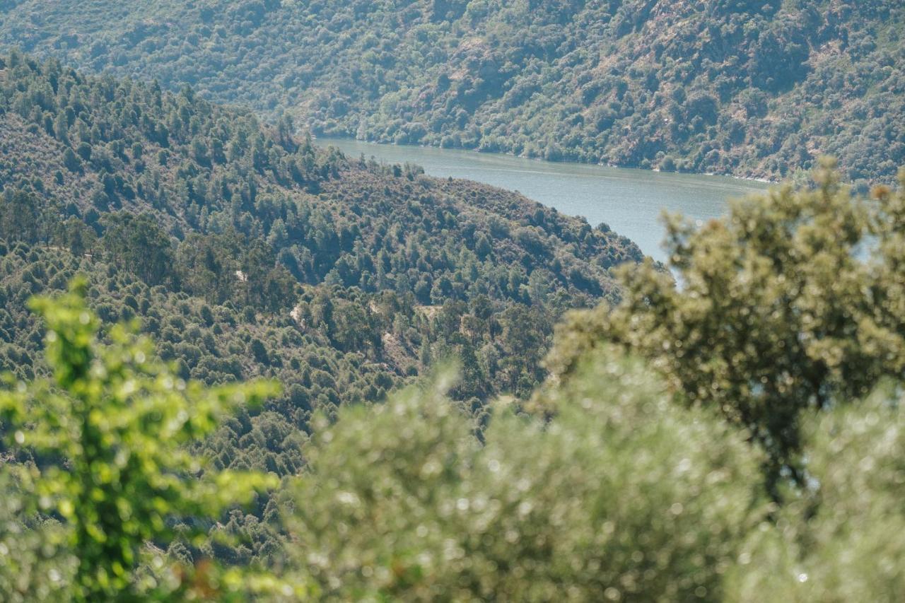 Casa Das Arribas - Rio Douro Aos Seus Pes 벰포스타 외부 사진